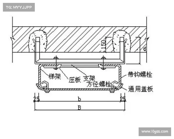 单关固定是什么意思 单关固定是什么意思