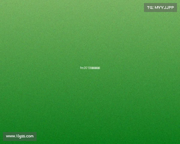 fm2019修改联赛规则