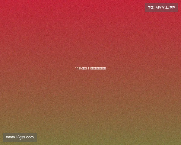 11月5日赛事-11月国际比赛日时间安排