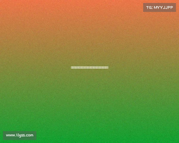 长跑赛事筹备权威手册全面解析规划执行与风险管理策略