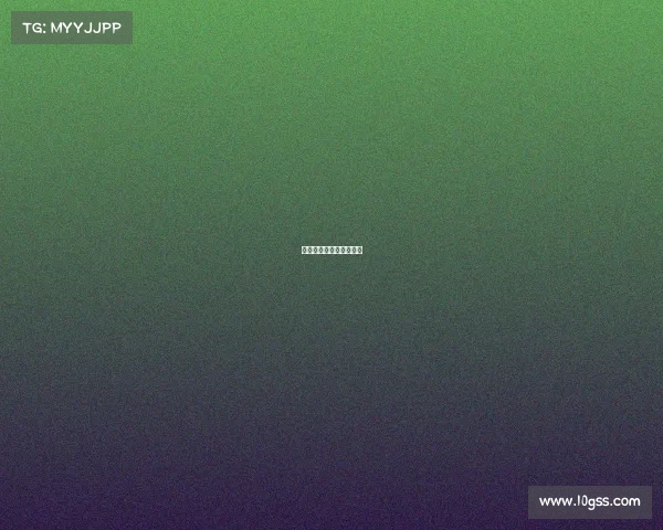 中国搏击赛事有几种类型